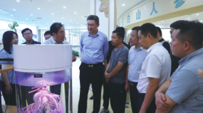 铂莱国际(柬埔寨)官方网站