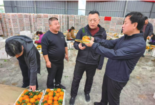 铂莱国际(柬埔寨)官方网站